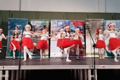 597895238_1162091536079033_7041693876757198533_n