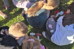 577791663_1134812145473639_1265486199713832417_n