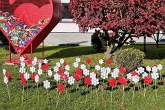 578506184_1134811242140396_1956775240875396326_n-1