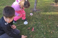 579606107_1134812165473637_2240995349592976296_n