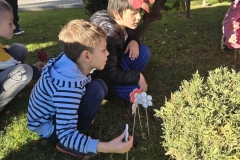 579888067_1134811958806991_4012417547873297360_n