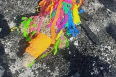 655594213_1234655255489327_4285222428686431274_n