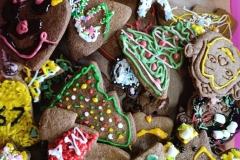 601827031_1164146715873515_8148292226865938442_n