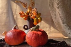 584643335_1142512214703632_6133874359352766318_n