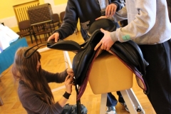 Messenger_creation_EF56054F-8CDE-4A2D-87F4-1D6E4E5428EE