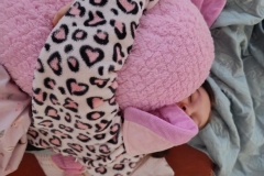 592461117_1155761580045362_4463303708056241909_n