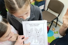 594496883_1155750233379830_7815548824258181423_n