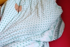 594959300_1155761410045379_1739799774756102582_n