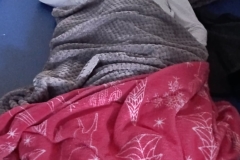 594970358_1155760996712087_1272304158541473924_n