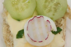 657351269_1236518481969671_7155311848138006742_n