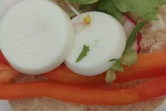 657930820_1236519491969570_7801935878312044558_n