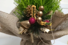 595679497_1157917246496462_3763413897595066910_n