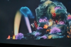 571111788_1124333729854814_1650898368250435676_n