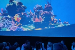 571395326_1124333753188145_4781249365922052124_n