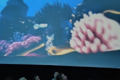 572786482_1124333946521459_6363306157185598734_n