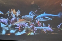 573549955_1124333993188121_1310219317023273796_n