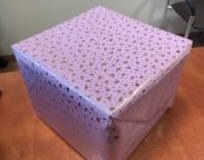 553284020_1096438659310988_4035869899317277518_n