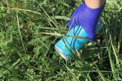 552502312_1093825899572264_4973210909917483047_n