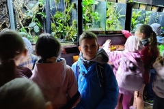 553203143_1095726459382208_6723883777151663509_n