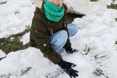 586398778_1144591461162374_5238951674663322726_n