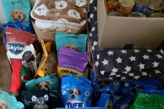 589752068_1149515417336645_5508436633782791638_n