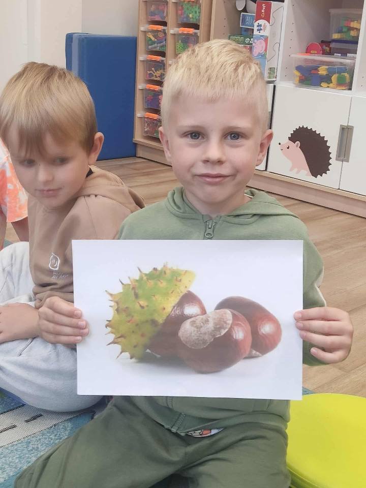 Chłopiec trzymający w ręku kartę na której narysowane są kasztany