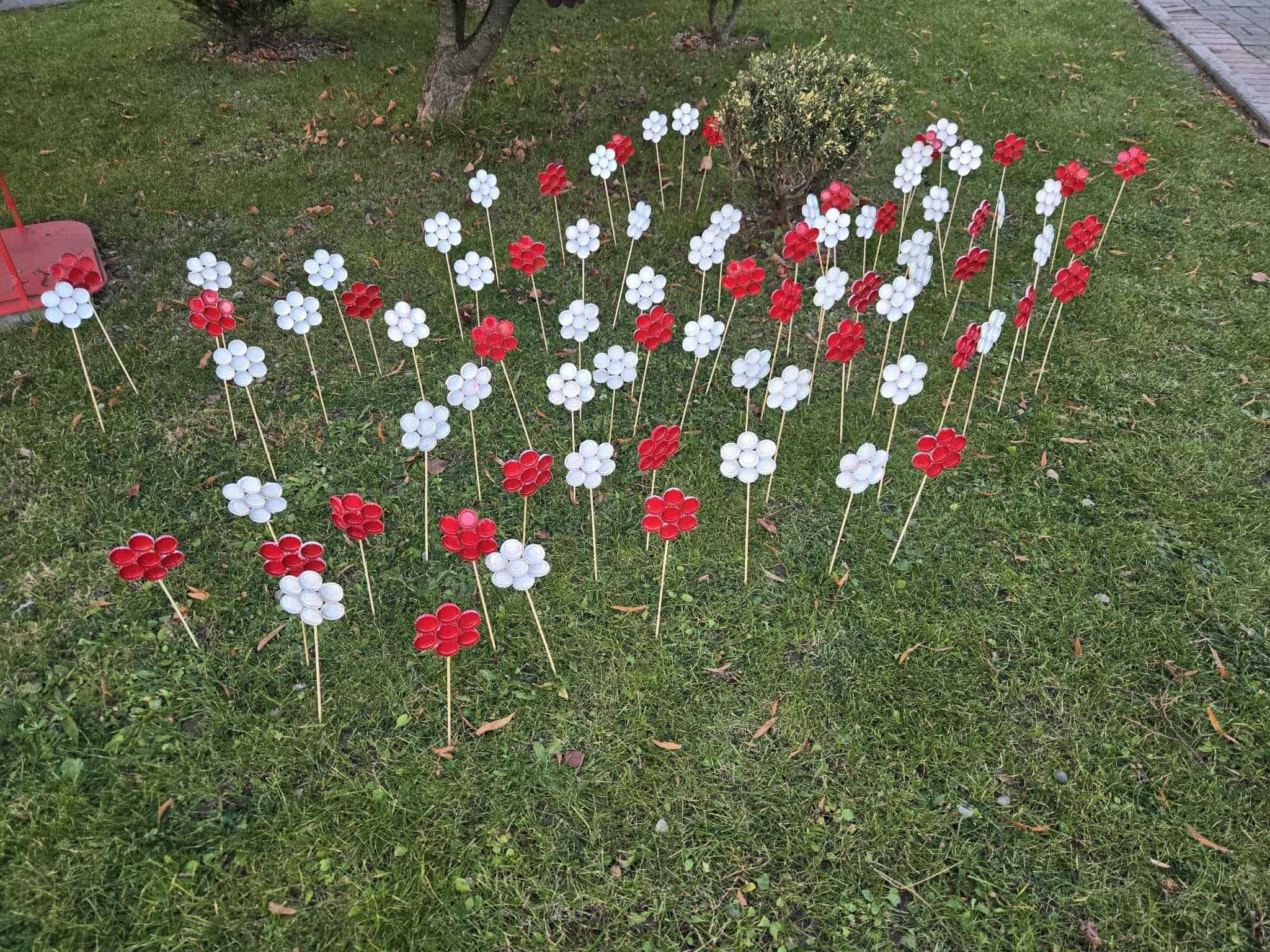 Kwiatki biało - czerwone wykonane z papieru i utworzona z nich rabata